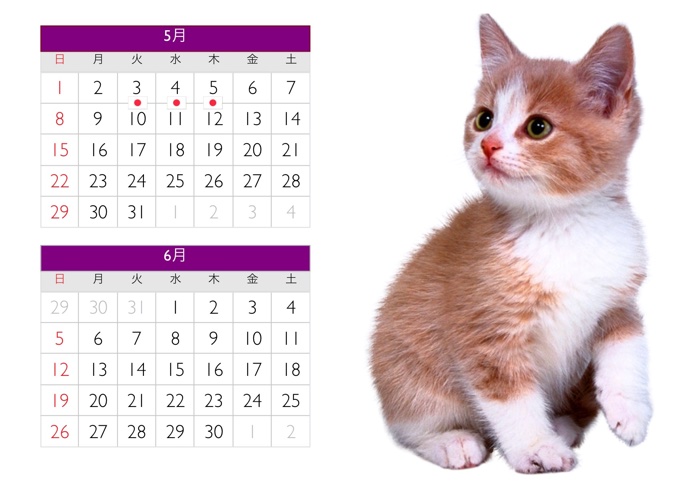 カレンダー猫